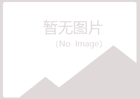 乌海乌达夏岚水泥有限公司